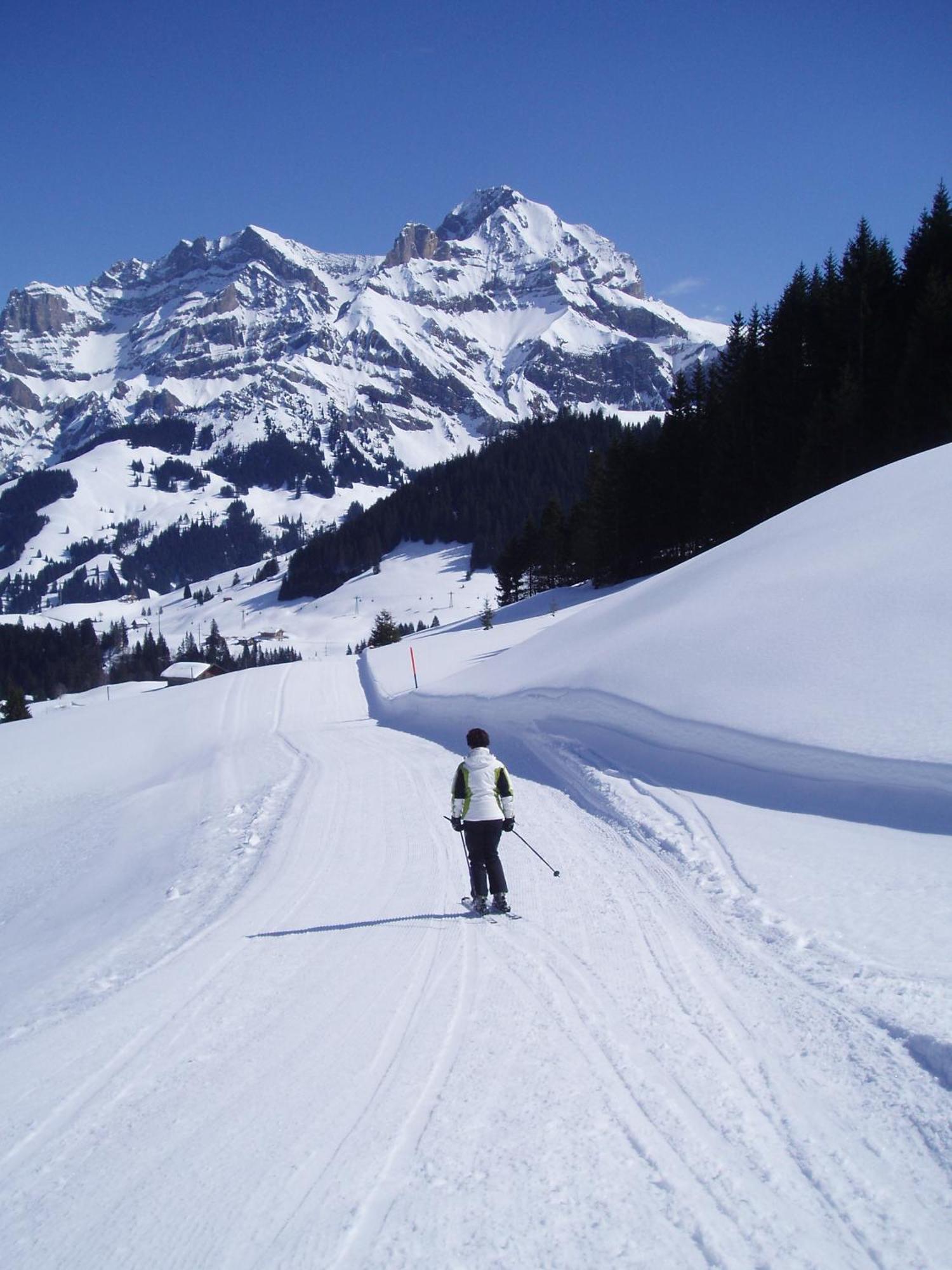 Hotel Des Alpes Adelboden Luaran gambar