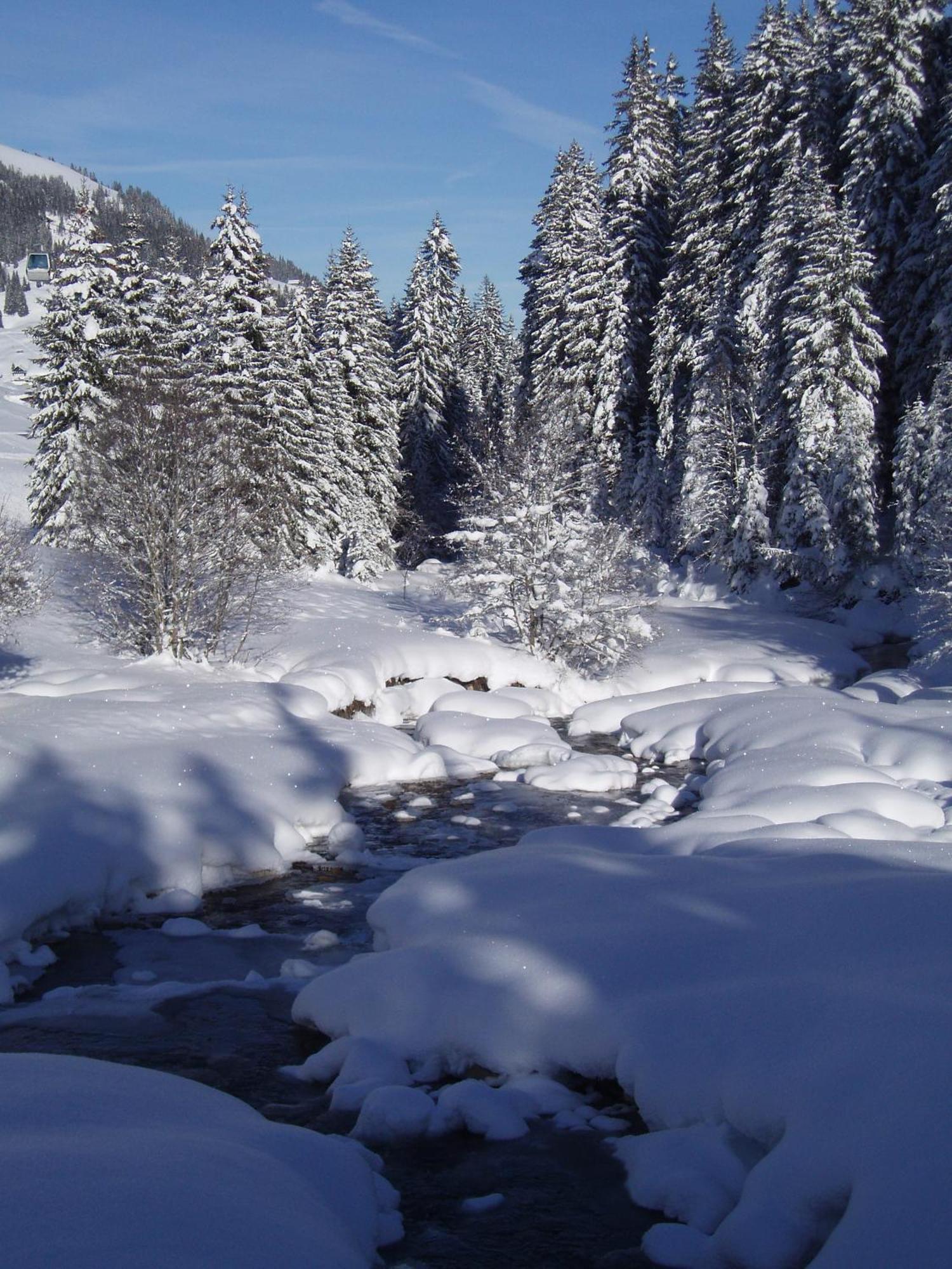 Hotel Des Alpes Adelboden Luaran gambar