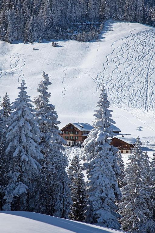 Hotel Des Alpes Adelboden Luaran gambar