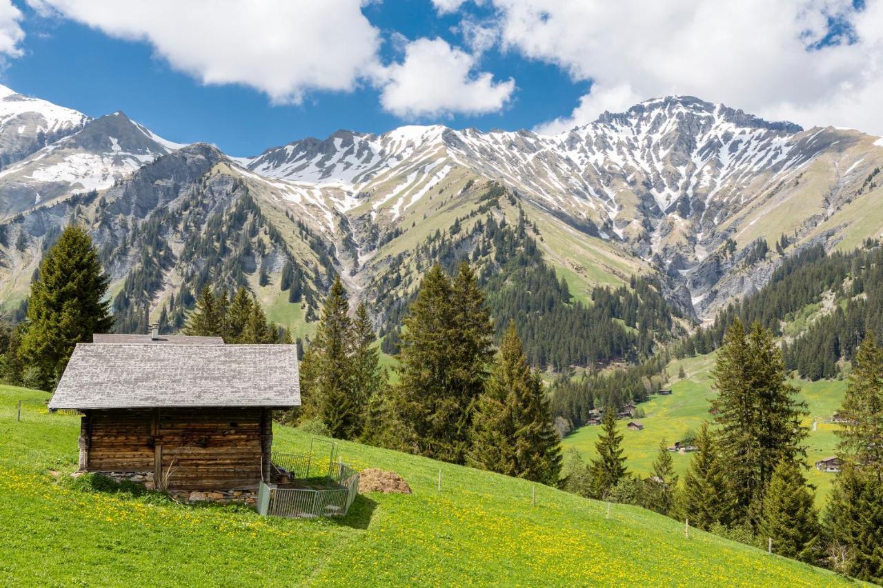 Hotel Des Alpes Adelboden Luaran gambar